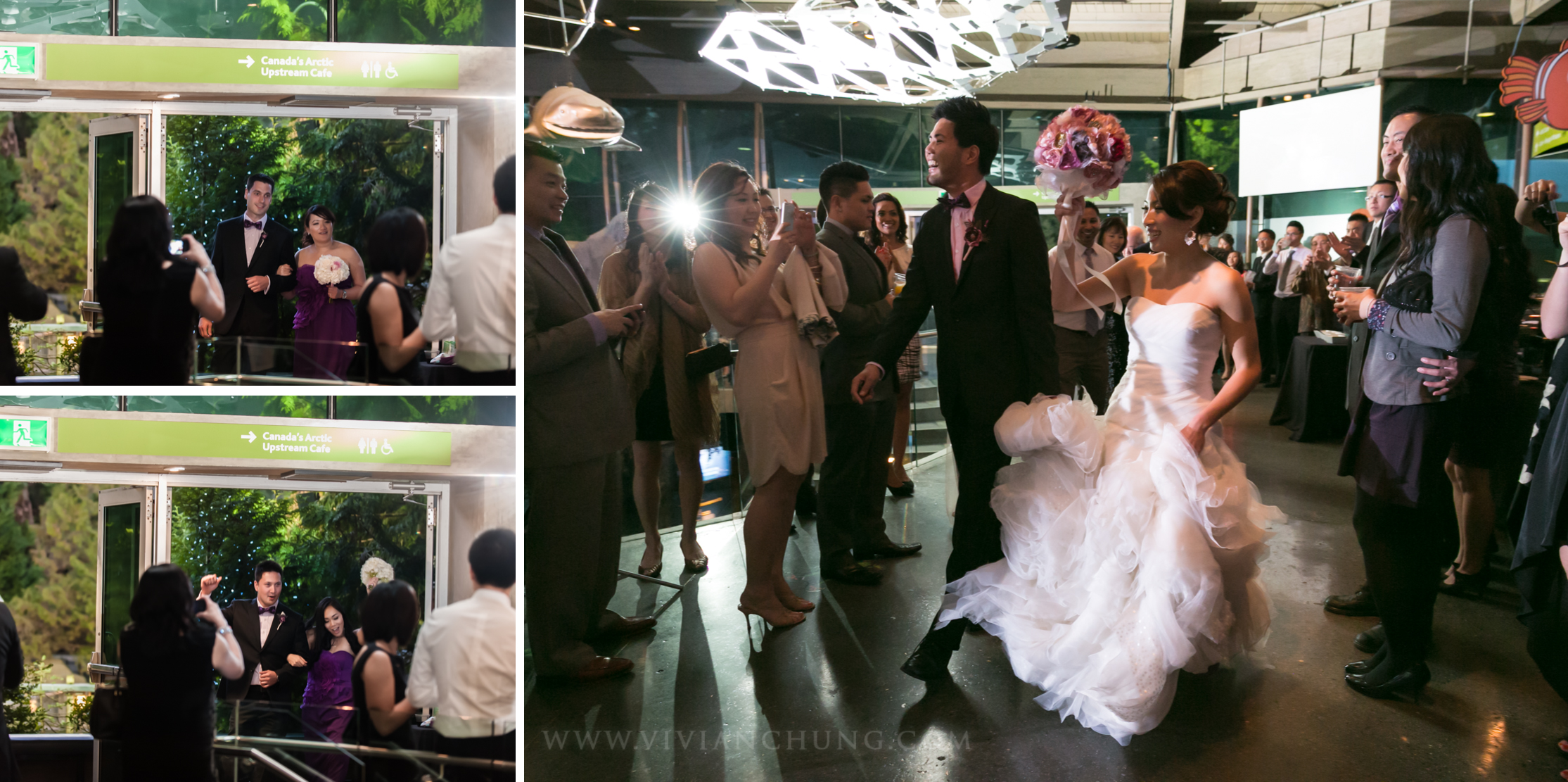 Shawn and michelle wedding, Vancouver Aquarium, Vancouver Aquarium Wedding